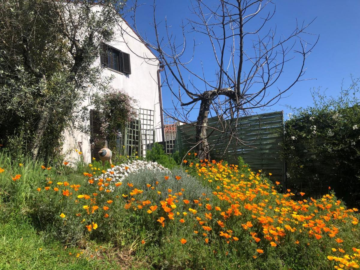 House Of The Three Marias Bed & Breakfast Pedrogao Grande Exterior photo